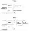 Fig. 04 - Storage apparatus and management module therefor