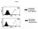 Fig. 03 - Method to enrich for α(1,3)-galactosyltransferase null pig cells