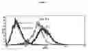 Fig. 07 - Method to enrich for α(1,3)-galactosyltransferase null pig cells