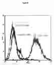 Fig. 09 - Method to enrich for α(1,3)-galactosyltransferase null pig cells