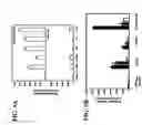 Fig. 06 - Cell-specific molecule and method for importing DNA into osteoblast nuclei