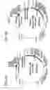 Fig. 07 - Cell-specific molecule and method for importing DNA into osteoblast nuclei
