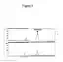 Fig. 04 - Nucleic acid fragments encoding isoflavone synthase