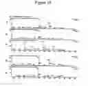 Fig. 20 - Nucleic acid fragments encoding isoflavone synthase