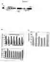 Fig. 07 - Modulation of flowering time by the pft1 locus