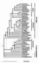 Fig. 02 - Polynucleotides and polypeptides in plants