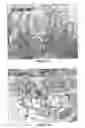 Fig. 33 - Polynucleotides and polypeptides in plants