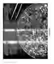 Fig. 35 - Polynucleotides and polypeptides in plants