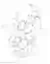 Fig. 02 - Eyeglasses with replaceable lenses