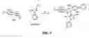 Fig. 06 - Xyloglucan conjugates useful for modifying cellulosic textiles