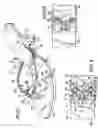Fig. 02 - Reversible shoe upper