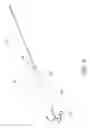 Fig. 05 - Asymmetrically oscillating lure