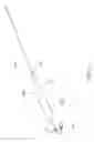 Fig. 06 - Asymmetrically oscillating lure