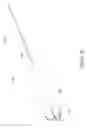 Fig. 07 - Asymmetrically oscillating lure
