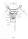 Fig. 04 - Pest trapping device