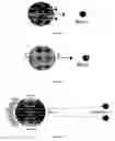 Fig. 02 - Method of cultivating plants