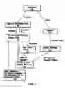 Fig. 02 - Manufacturing of bioorganic-augmented high nitrogen-containing inorganic fertilizer