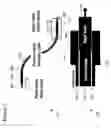 Fig. 04 - Power transmission and actuation of a legged robot