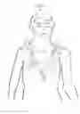 Fig. 02 - Harness for supporting a musical instrument