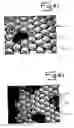 Fig. 04 - Ceramic pellets and composite armor panel containing the same