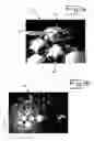 Fig. 05 - Ceramic pellets and composite armor panel containing the same