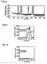 Fig. 06 - Potassium niobate deposited body and method for manufacturing the same, surface acoustic wave device, frequency filter, oscillator, electronic circuit, and electronic apparatus