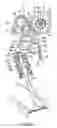 Fig. 07 - Valve mechanism for an internal combustion engine
