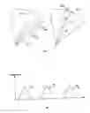Fig. 05 - Compression-ignition internal combustion engine