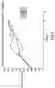 Fig. 07 - Inhalation method and apparatus