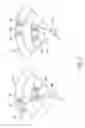 Fig. 04 - Preset shower setting assembly