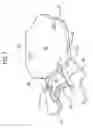 Fig. 08 - Apparatus and method for attaching fencing material