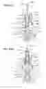 Fig. 04 - Tire vulcanizing method and vulcanizer for performing the method