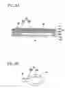 Fig. 09 - Method Of Treating Nozzle Plate