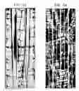 Fig. 04 - Multi-perf fracturing process