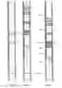 Fig. 08 - Method of deploying and powering an electrically driven in a well