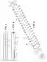 Fig. 05 - Rotatable implement with end-mounted motor