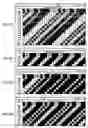 Fig. 06 - Sensor for measuring a length or an angle