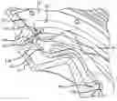 Fig. 01 - VISCOUS FAN DRIVE WITH A FLUID CONTROL VALVE