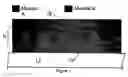 Fig. 02 - Three-dimensional bicontinuous heterostructures, a method of making them, and their application in quantum dot-polymer nanocomposite photodetectors and photovoltaics