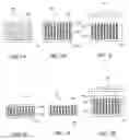 Fig. 03 - Structure of polymer-matrix conductive film and method for fabricating the same
