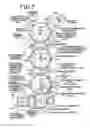 Fig. 08 - Light emitting device, method of preparing the same and device for fabricating the same