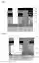 Fig. 07 - Double trench for isolation of semiconductor devices