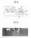 Fig. 10 - Device for electrostatic discharge protection and method of manufacturing the same