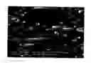 Fig. 01 - Method of producing a thermoplastically moldable fiber-reinforced semifinished product