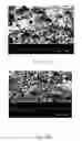 Fig. 06 - Polymeric film exhibiting improved anti-blocking characteristics and process of making