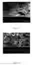 Fig. 07 - Polymeric film exhibiting improved anti-blocking characteristics and process of making