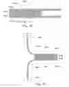 Fig. 11 - Polymeric film exhibiting improved anti-blocking characteristics and process of making