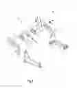 Fig. 04 - Collapsible bicycle