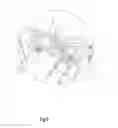 Fig. 06 - Collapsible bicycle
