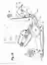 Fig. 04 - Snowboard binding engagement mechanism